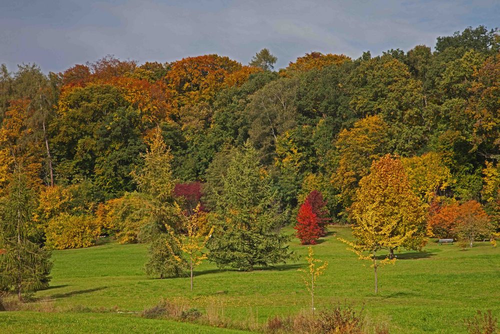 Gartenblick Botanischer Garten Ulm Foto & Bild
