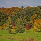 Gartenblick - Botanischer Garten Ulm