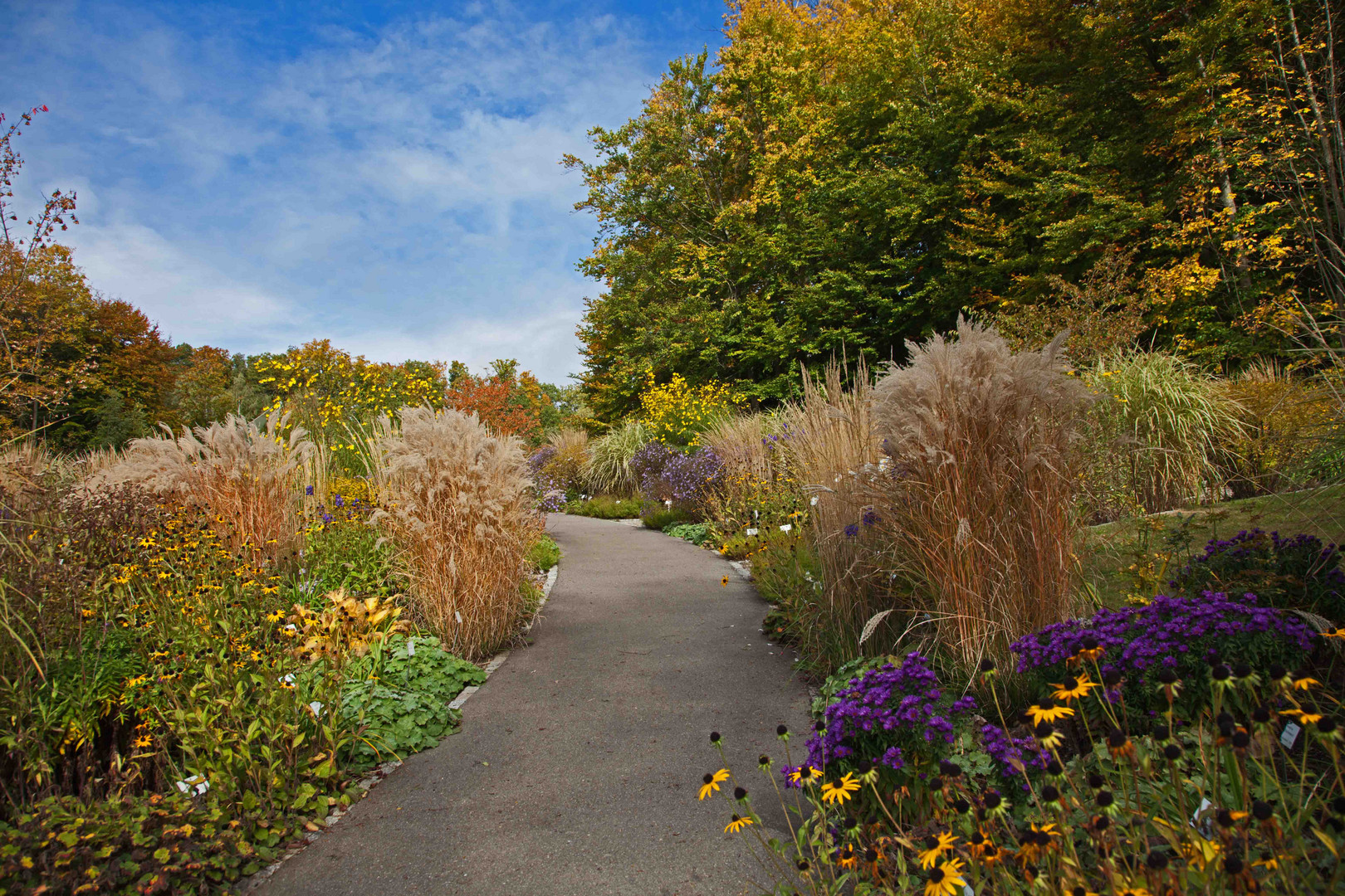 "Gartenblick" Botanischer Garten Ulm