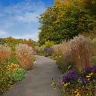 "Gartenblick" Botanischer Garten Ulm