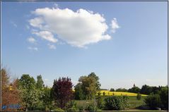 Gartenblick in die Natur