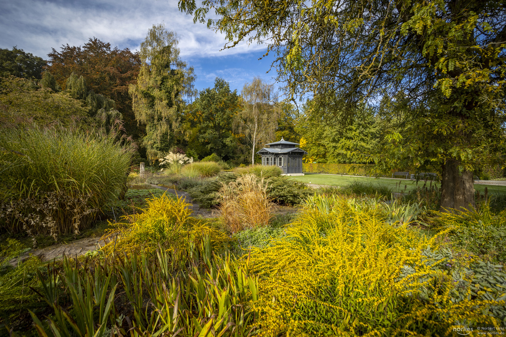 Gartenblick mit Pavillon