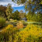 Gartenblick mit Pavillon