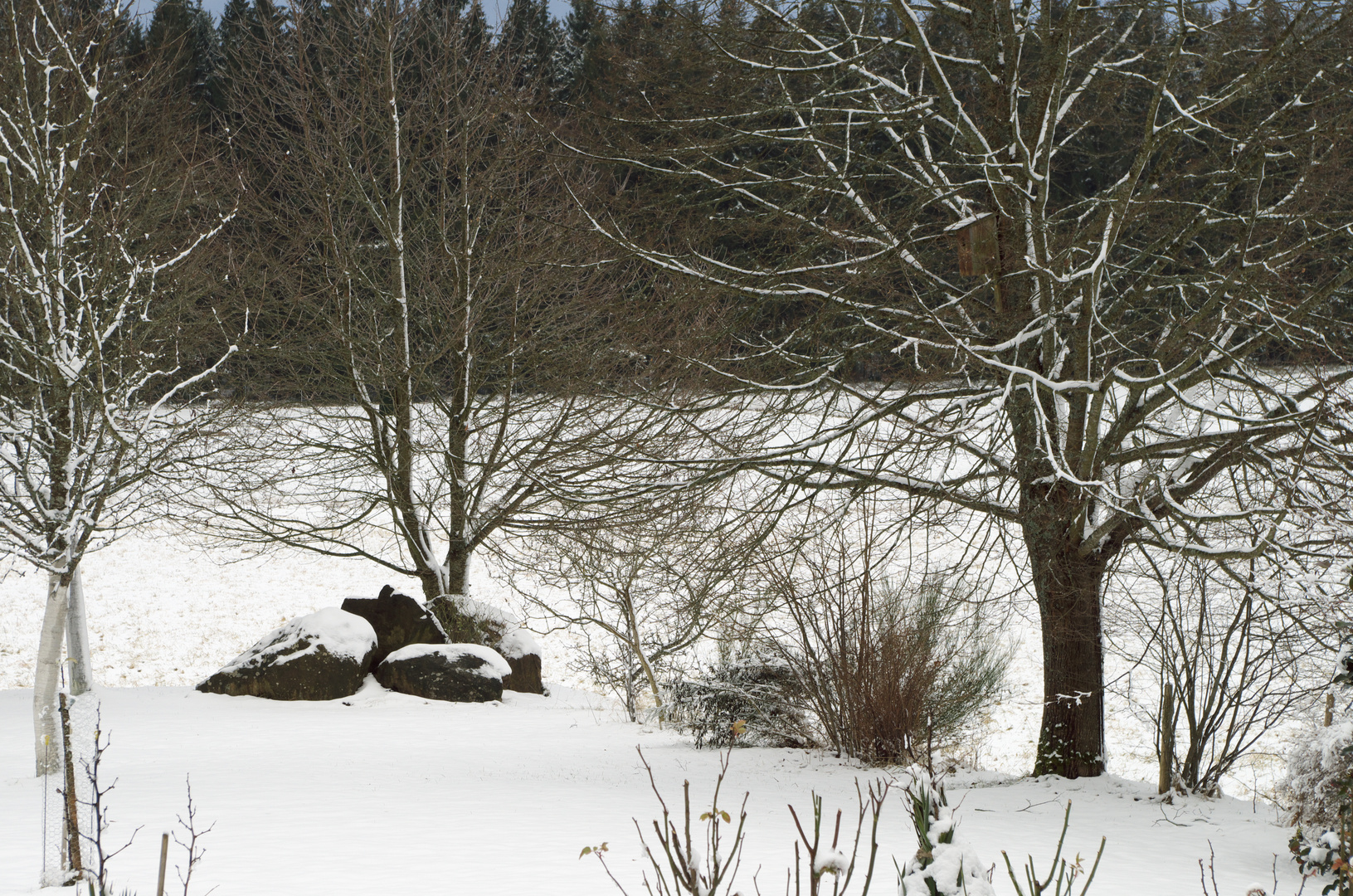 Gartenblick zum Winteranfang