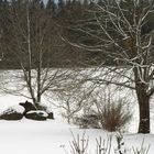 Gartenblick zum Winteranfang