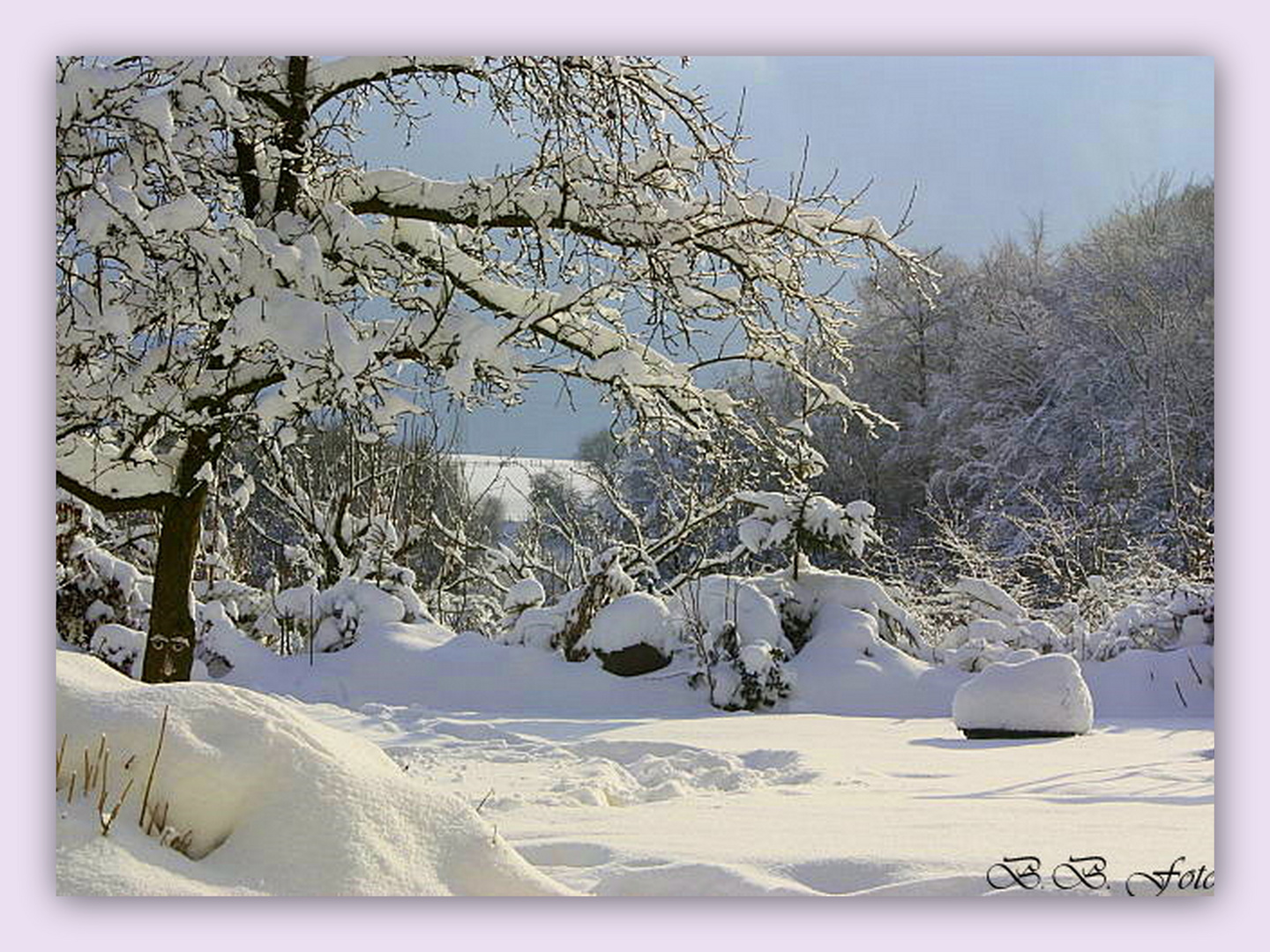 Gartenblick...2 versuch