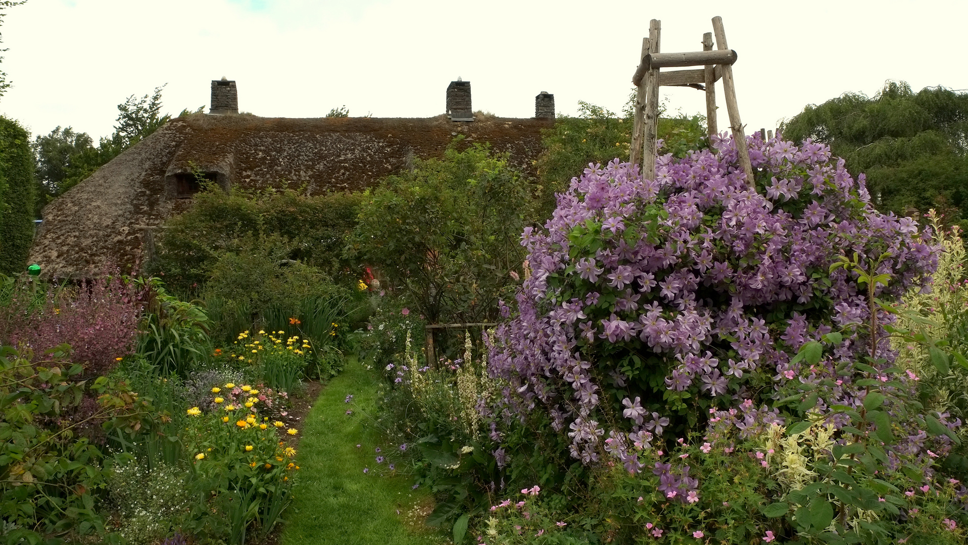 Gartenblütenpracht