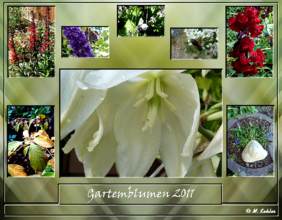 Gartenblumen