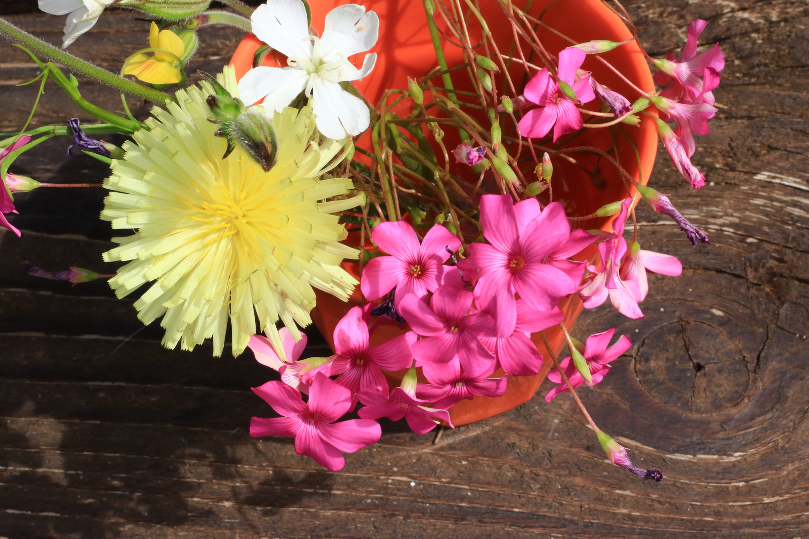 Gartenblumen auf Holztisch