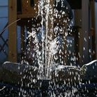 Gartenbrunnen in der Sonne