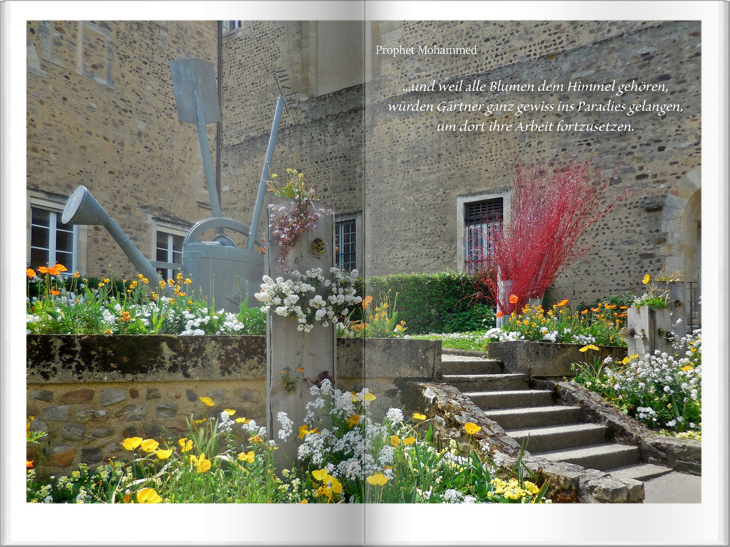 Gartenbuch Foto &amp; Bild spezial, emotionen, motive Bilder