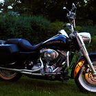 Gartendekoration - Harley Davidson Road King