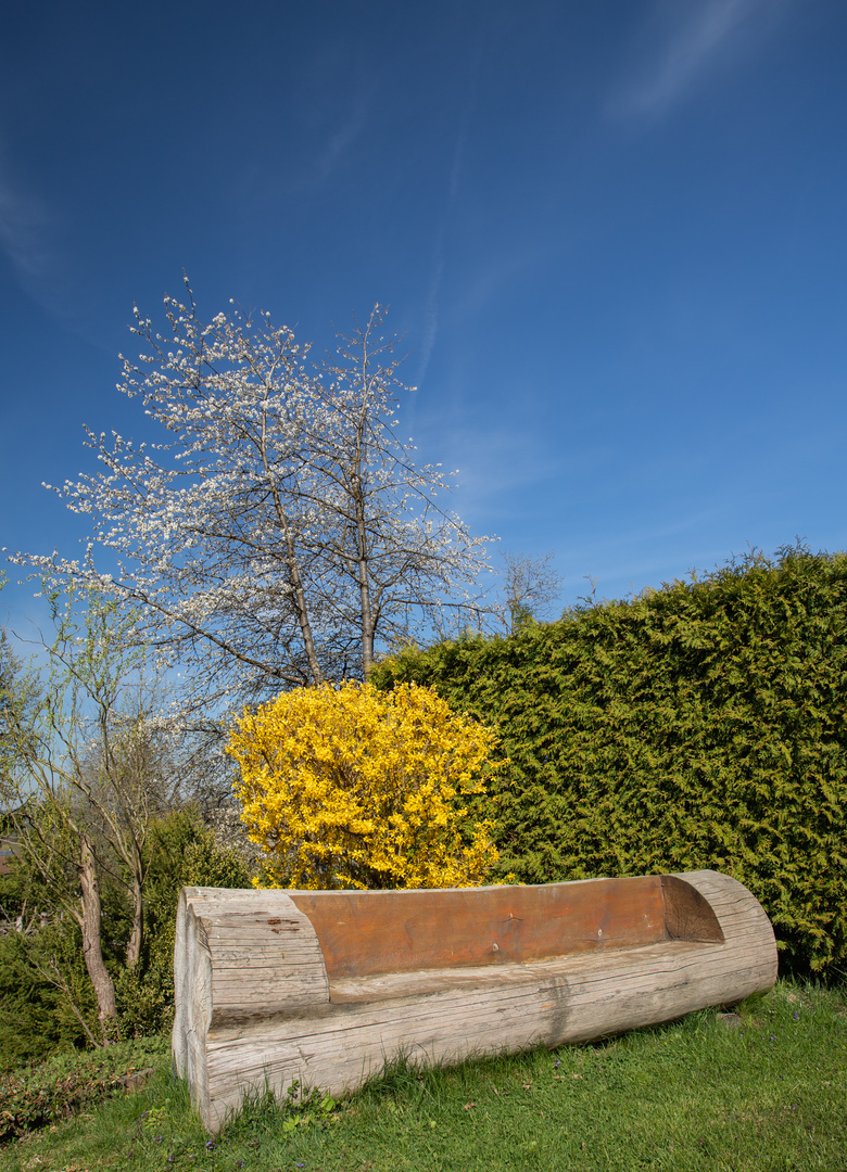 Gartenfoto dank Corona