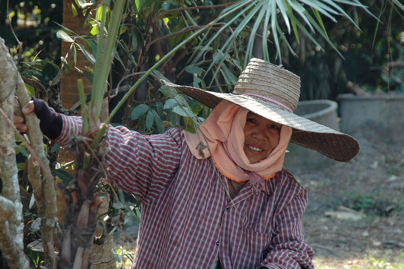 Gartenfrau aus Chiang mai.