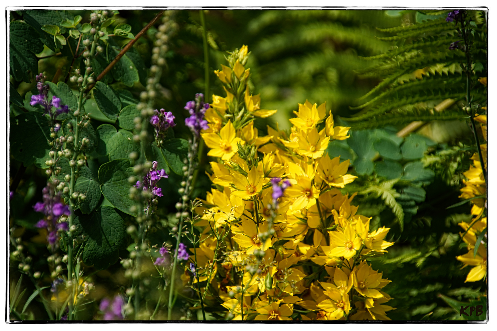 Gartenfreude