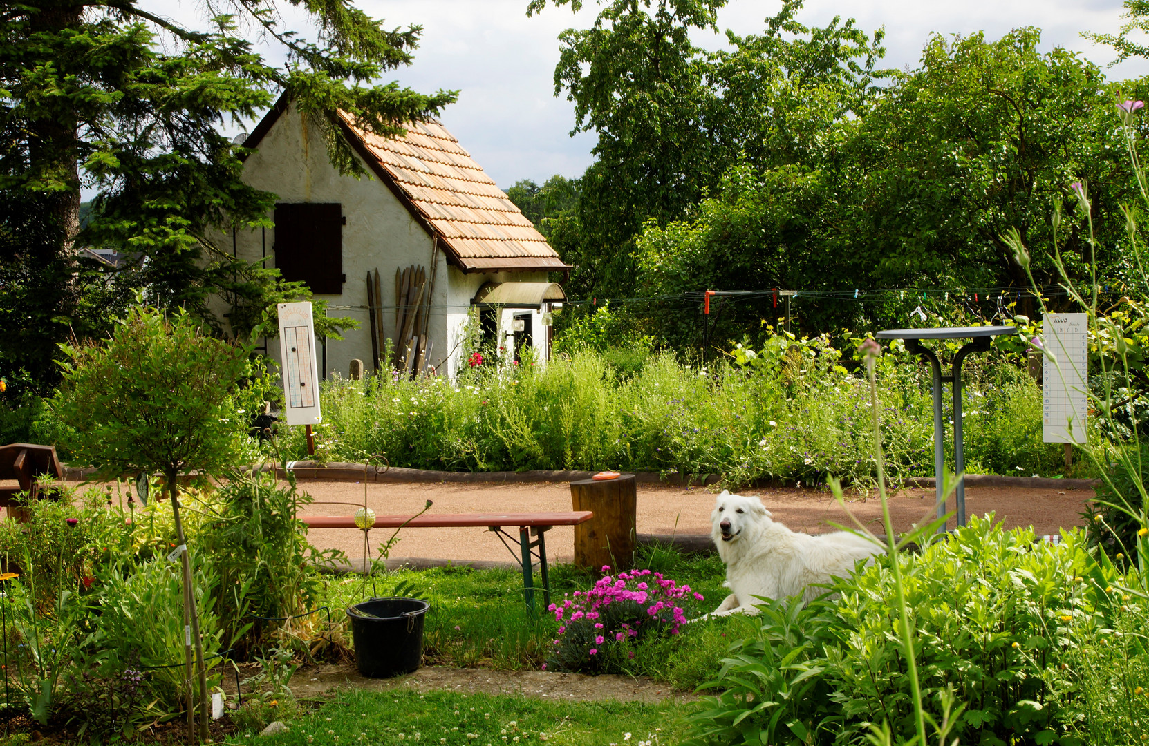 Gartenfreude