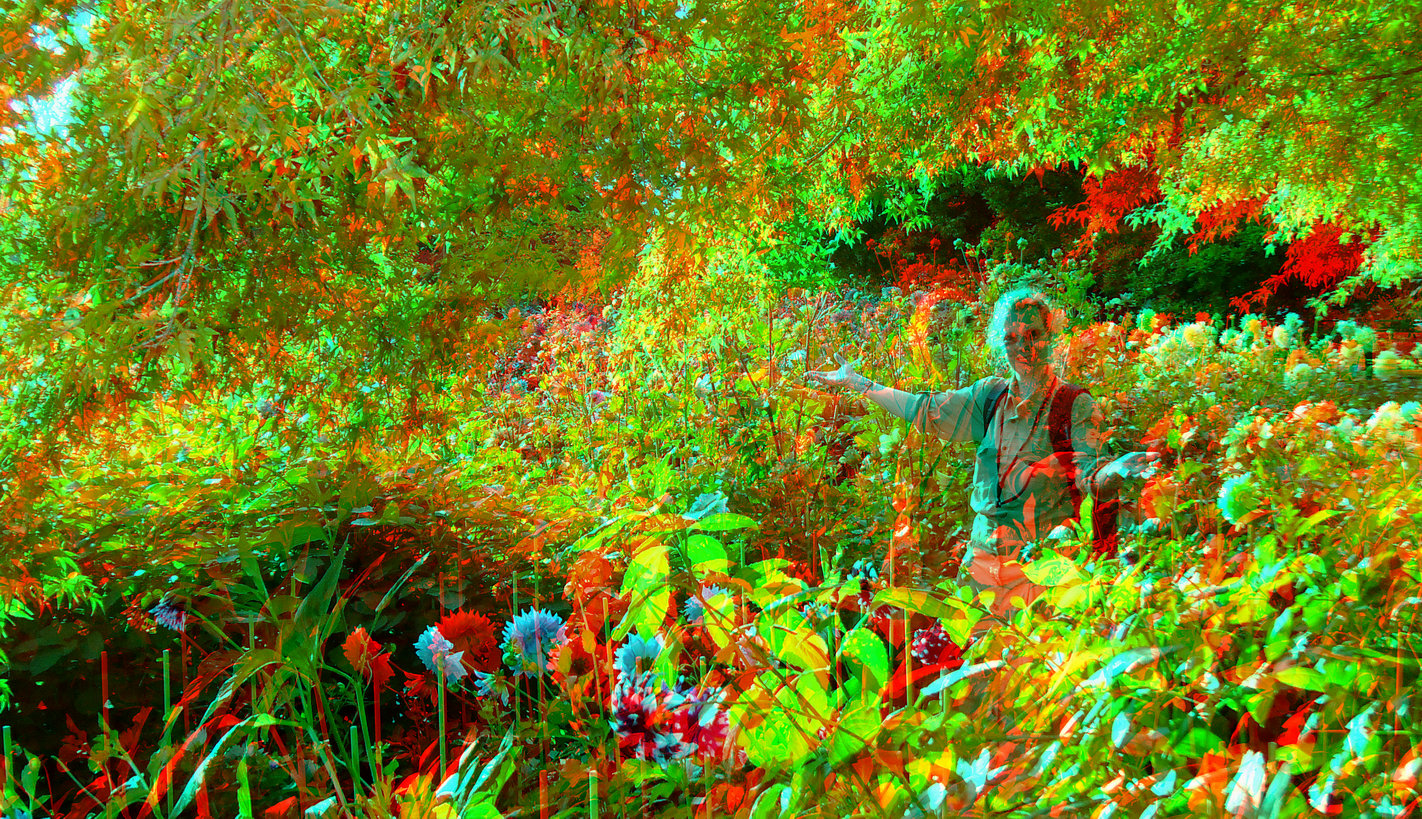 Gartenfreude (3D-Foto)