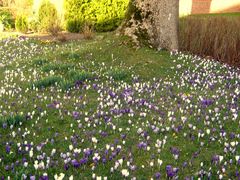 Gartenfreude