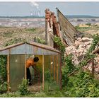 Gartenfreuden am Ende der Welt