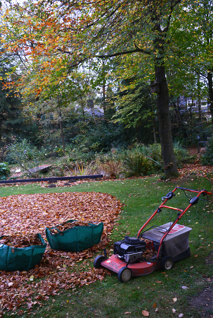 Gartenfreuden im Herbst.