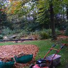 Gartenfreuden im Herbst.