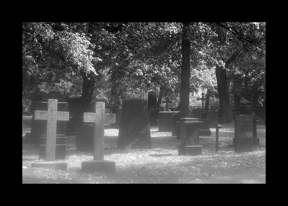 Gartenfriedhof Hannover