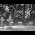 Gartenfriedhof Hannover