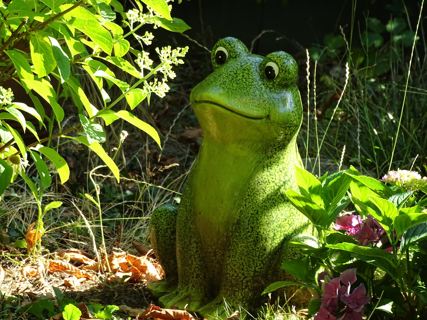 Gartenfrosch