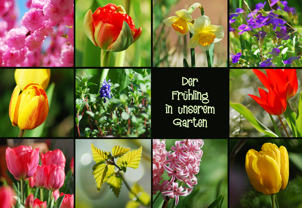 Gartenfrühling