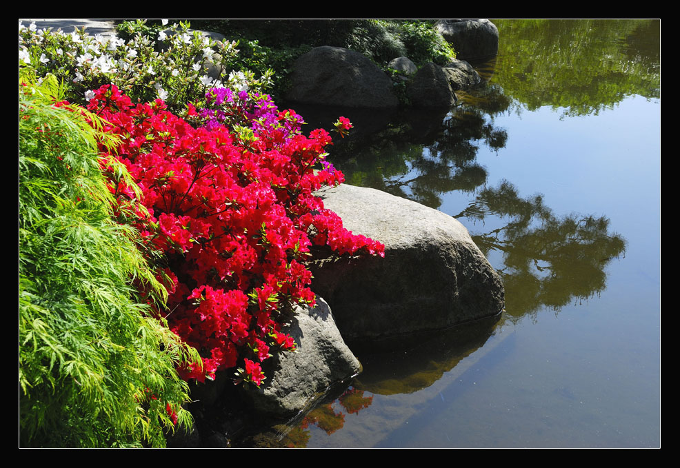 Gartengestaltung