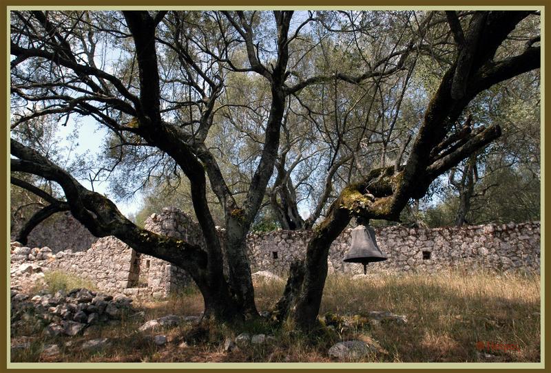 gartenglocke Foto & Bild | europe, greece, north and middle of greece