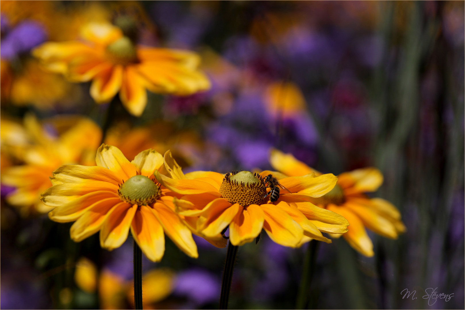 Gartenglück Foto & Bild spezial, sommer, natur Bilder auf
