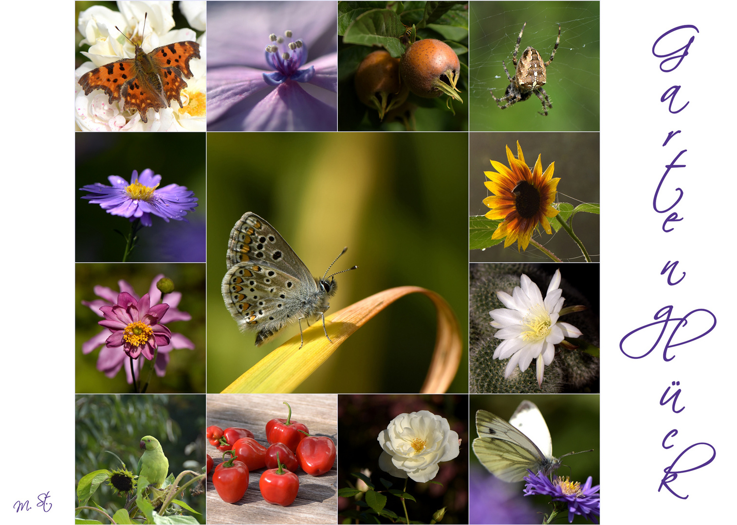 56+ Gartenglück 2 Vollversion Kostenlos, Gardenscapes einen