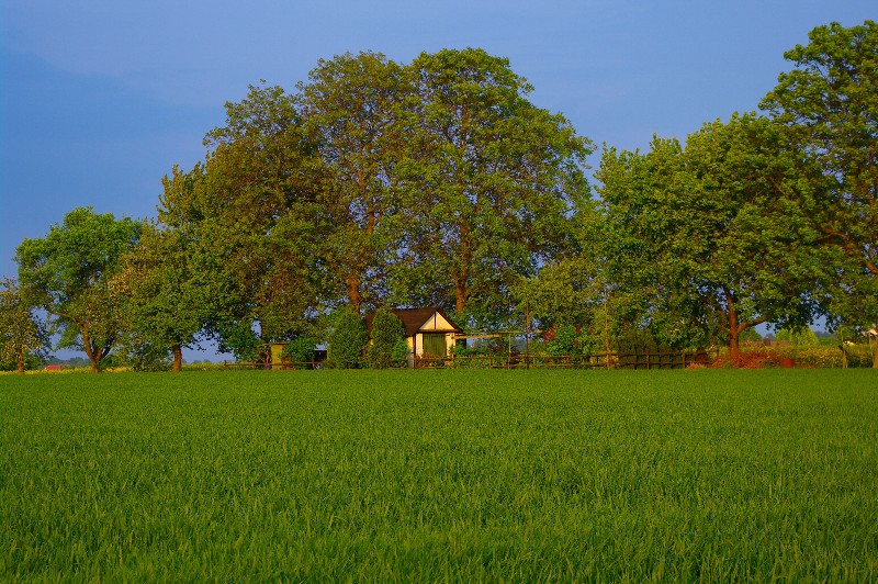 Gartenhäuschen