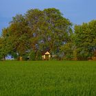 Gartenhäuschen