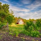 Gartenhäuschen