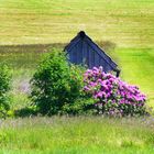 Gartenhäuschen