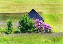 Gartenhäuschen