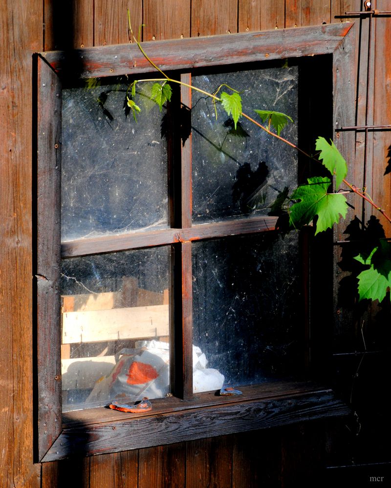 Gartenhausfenster