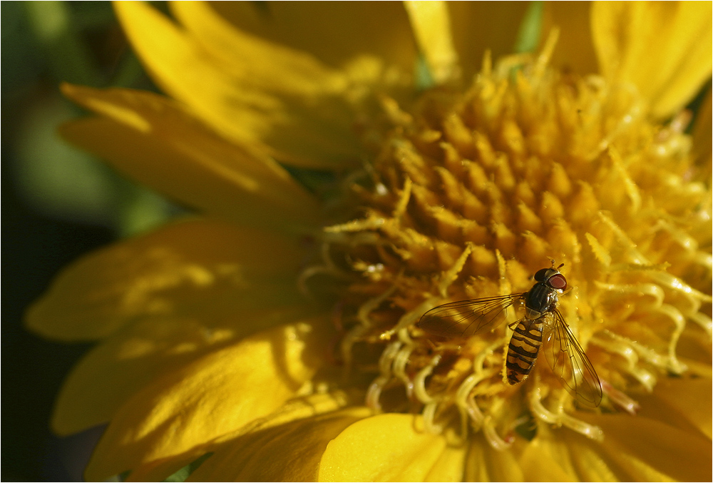 gartenhelfer 04