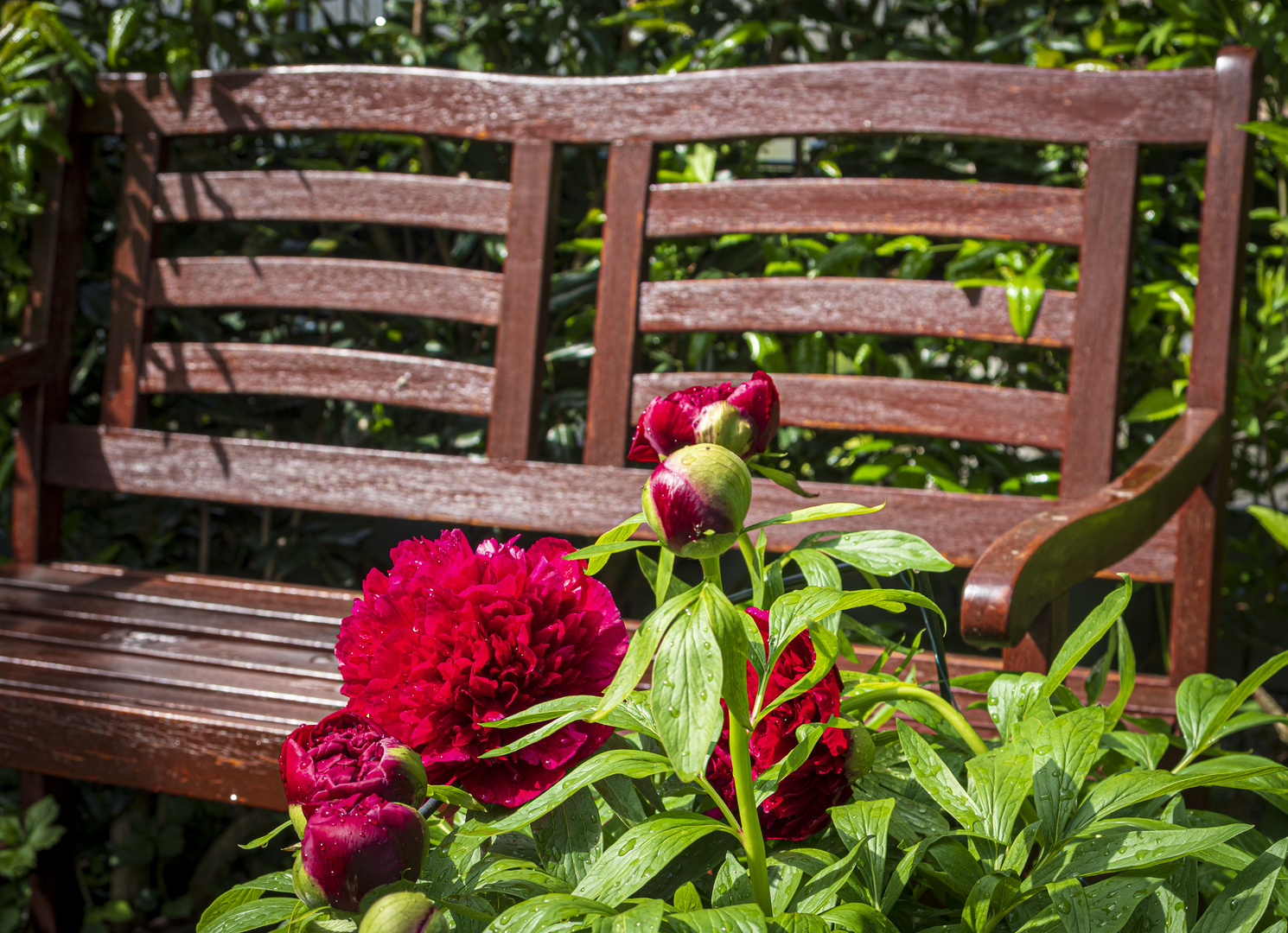 Gartenidyll