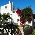 Gartenidyll am Meer