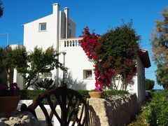 Gartenidyll am Meer