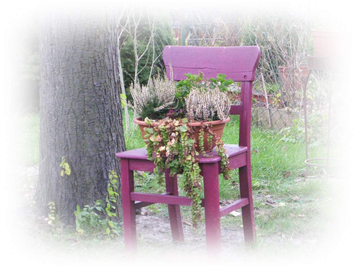 Gartenidyll im Winter