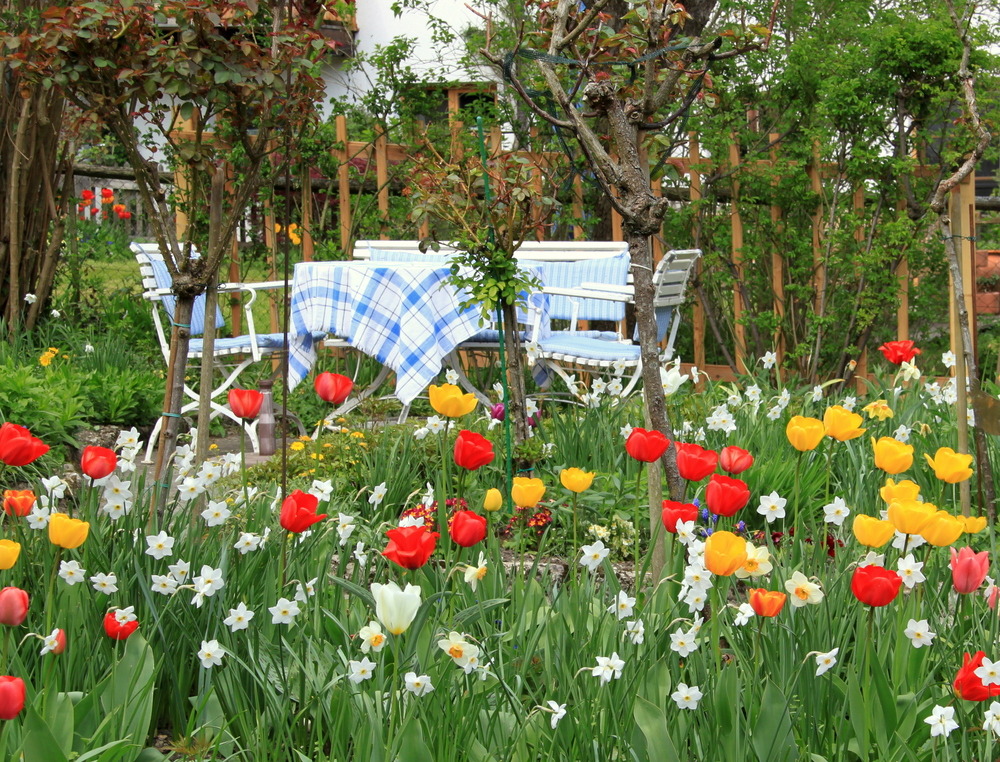 " Gartenidyll zum träumen "