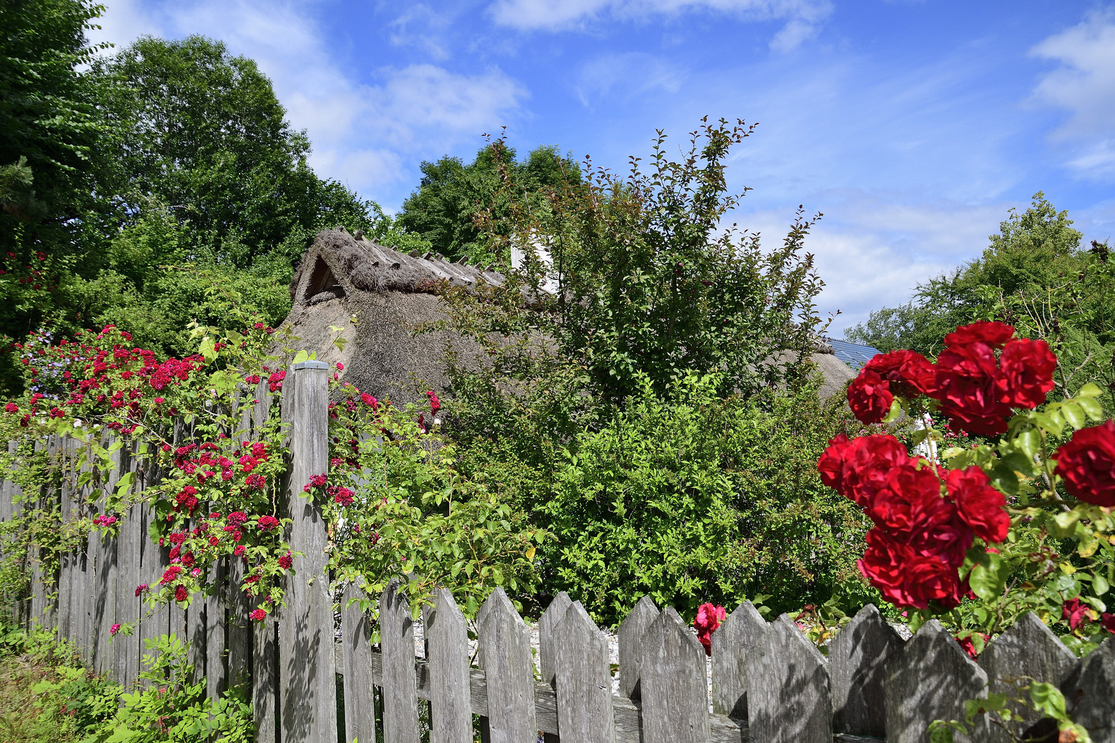 Gartenidylle