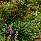 Gartenidylle bei Hedwig.