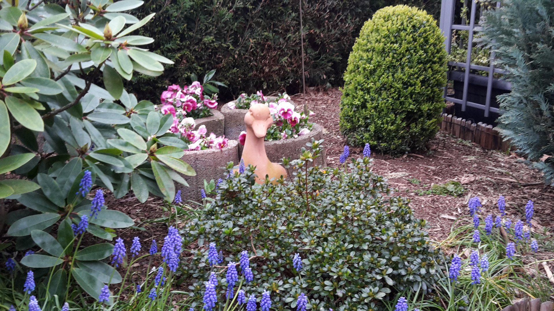 Gartenidylle im heimischen Garten