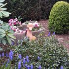 Gartenidylle im heimischen Garten