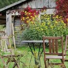 Gartenidylle im Herbst